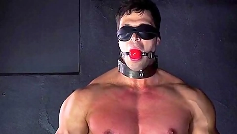 Crazy Porn Movie Homo Bdsm Great Exclusive Version