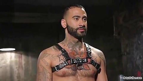 Astonishing Adult Movie Homosexual Tattoo Only Here