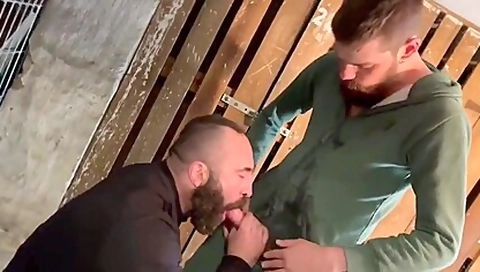 Crazy Adult Clip Gay Tattoo Incredible Will Enslaves Your Mind