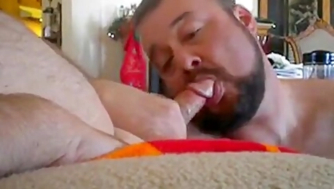 Bear Cock Sucker