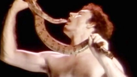 Collection (1980) 5 - Penetration