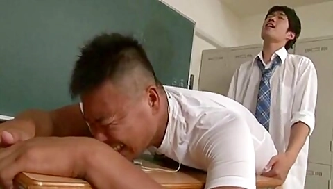 Rimming XXX Videos (17940)